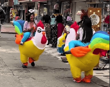 Imagen de Pelea de gallos